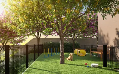 Pet Place Equipado para Animais